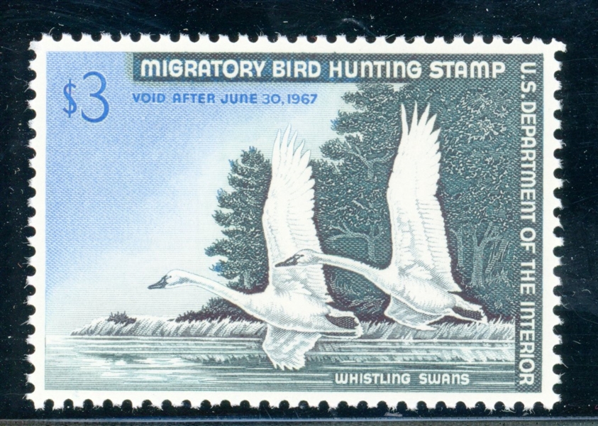 USA Scott RW23 MNH VF, 1956 Duck Stamp (SCV $100)