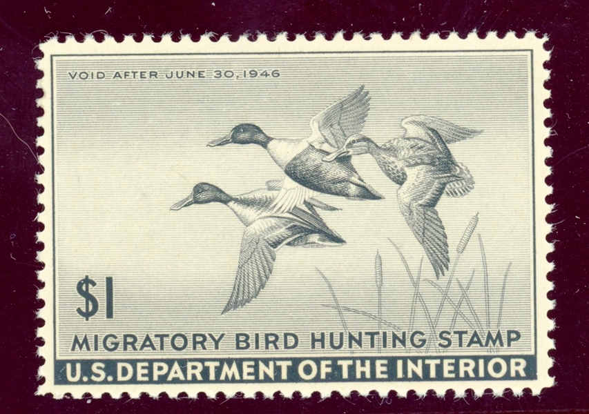 USA Scott RW12 MNH F-VF, 1945 Duck Stamp (SCV $100)