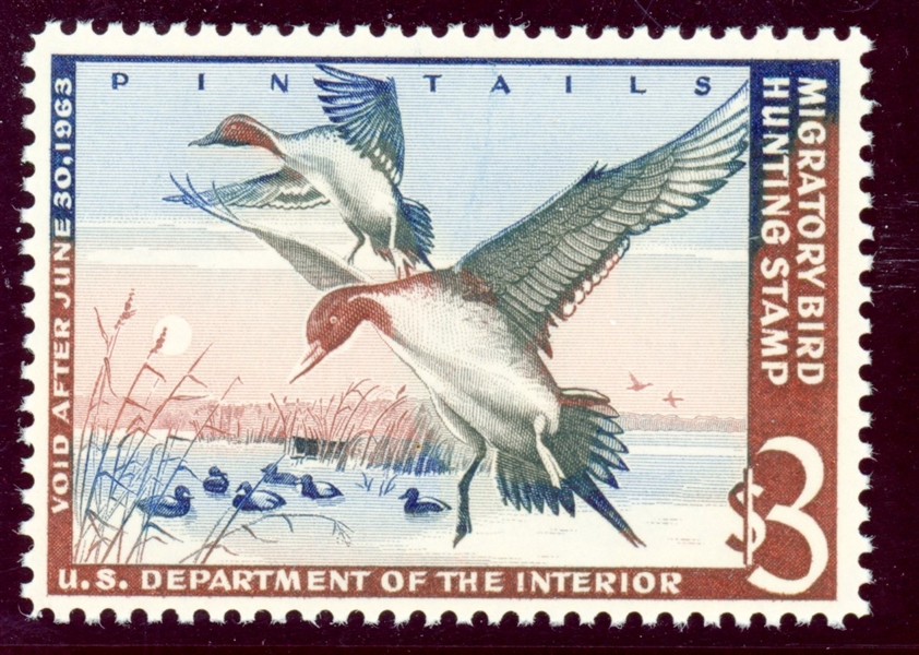 USA Scott RW29 MNH F-VF, 1962 Duck Stamp (SCV $110)