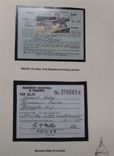 Collection of Ducks on License (Est $200-300)