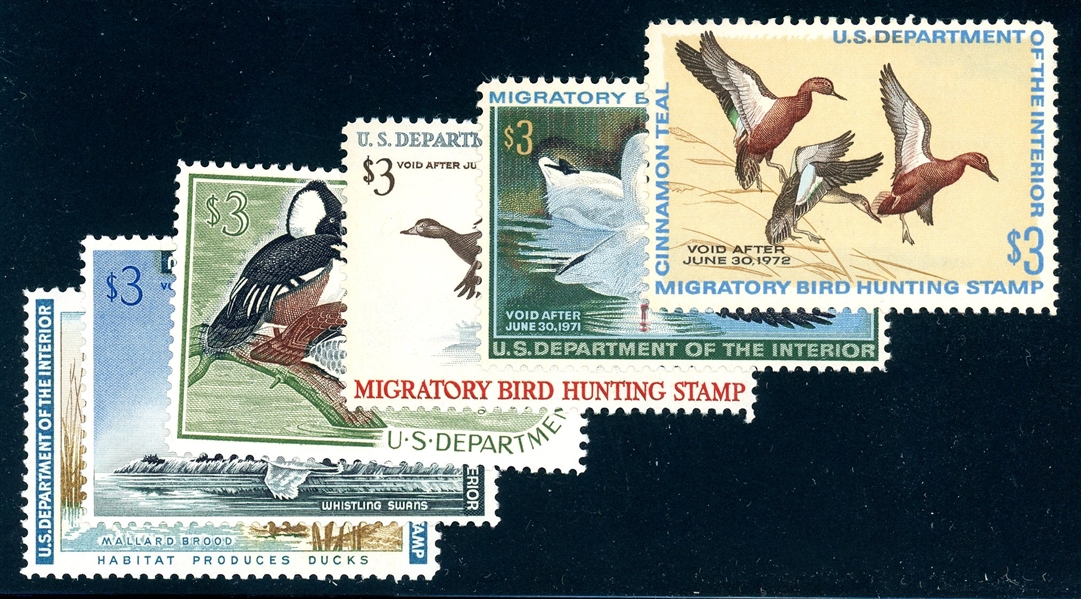 Group of 6 Different $3 Ducks, All MNH, F-VF (SCV $432)