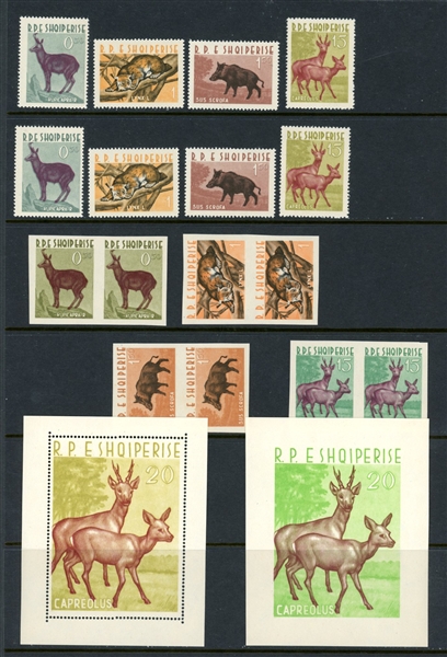Albania 639-642 MNH Perf and Imperf Complete, 1962 Wildlife (SCV $345)
