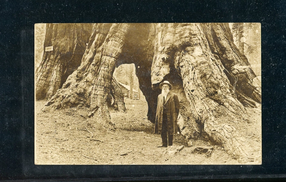 Picture Postcard of Galen Clark 1921 (Est $40-60)