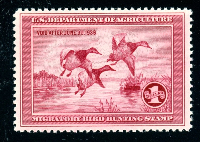 USA Scott RW2 MNH F-VF, 1935 Federal Hunting Stamp (SCV $700)