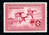 USA Scott RW2 MNH F-VF, 1935 Federal Hunting Stamp (SCV $700)