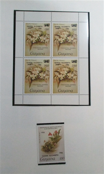 British Guiana Mint/Used Collection on Homemade Pages (Est $100-120)