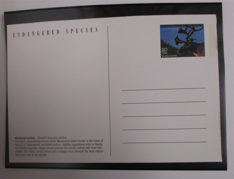 Massive Mint Modern Postal Card Collection (SCV $650)