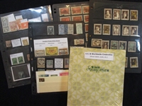 US and Worldwide Cinderella Material in Stockbook (Est $90-120)