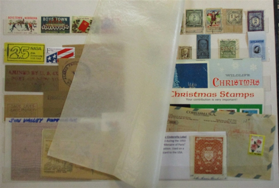 US and Worldwide Cinderella Material in Stockbook (Est $90-120)