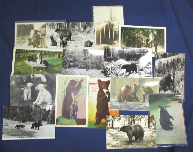 Postcards - Bear Topical, About 270+ Cards (Est $200-250)