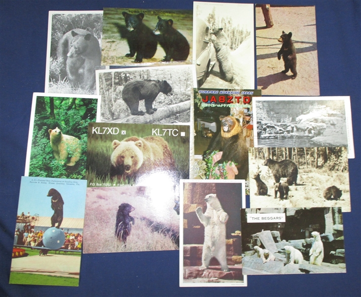 Postcards - Bear Topical, About 270+ Cards (Est $200-250)