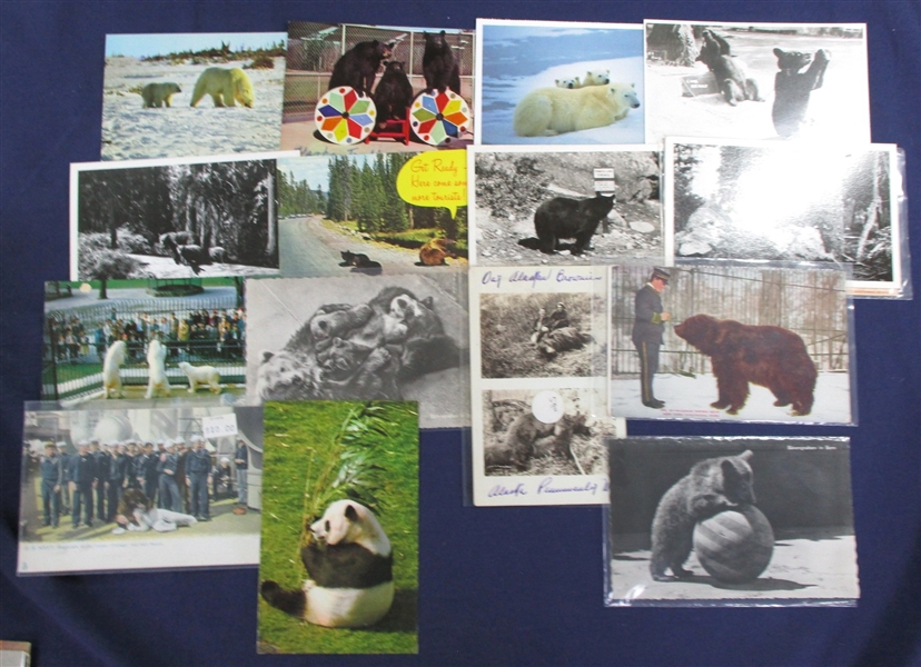 Postcards - Bear Topical, About 270+ Cards (Est $200-250)