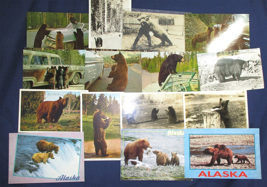 Postcards - Bear Topical, About 270+ Cards (Est $200-250)