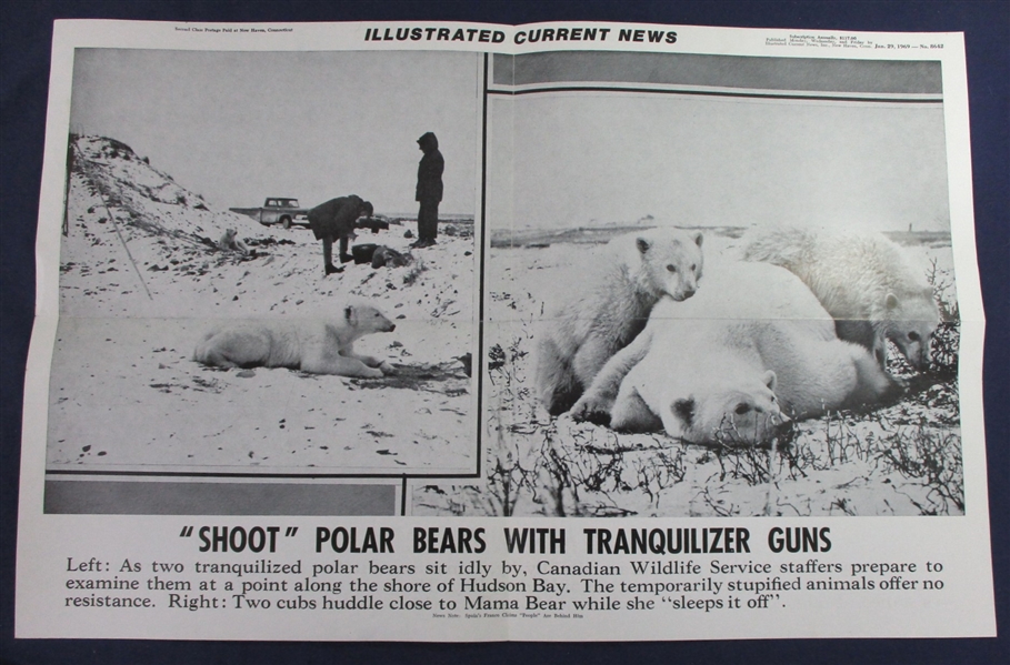 Medium Box of Ephemera - Mostly Bear Topical Related (Est $200-250)
