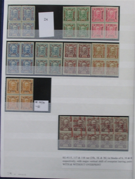 Montenegro Specialized Collection in Stockbook 1902-1906 (Est $800-1000)