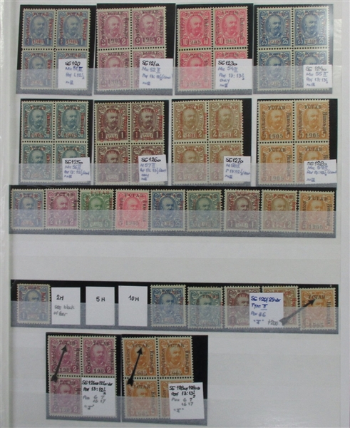 Montenegro Specialized Collection in Stockbook 1902-1906 (Est $800-1000)